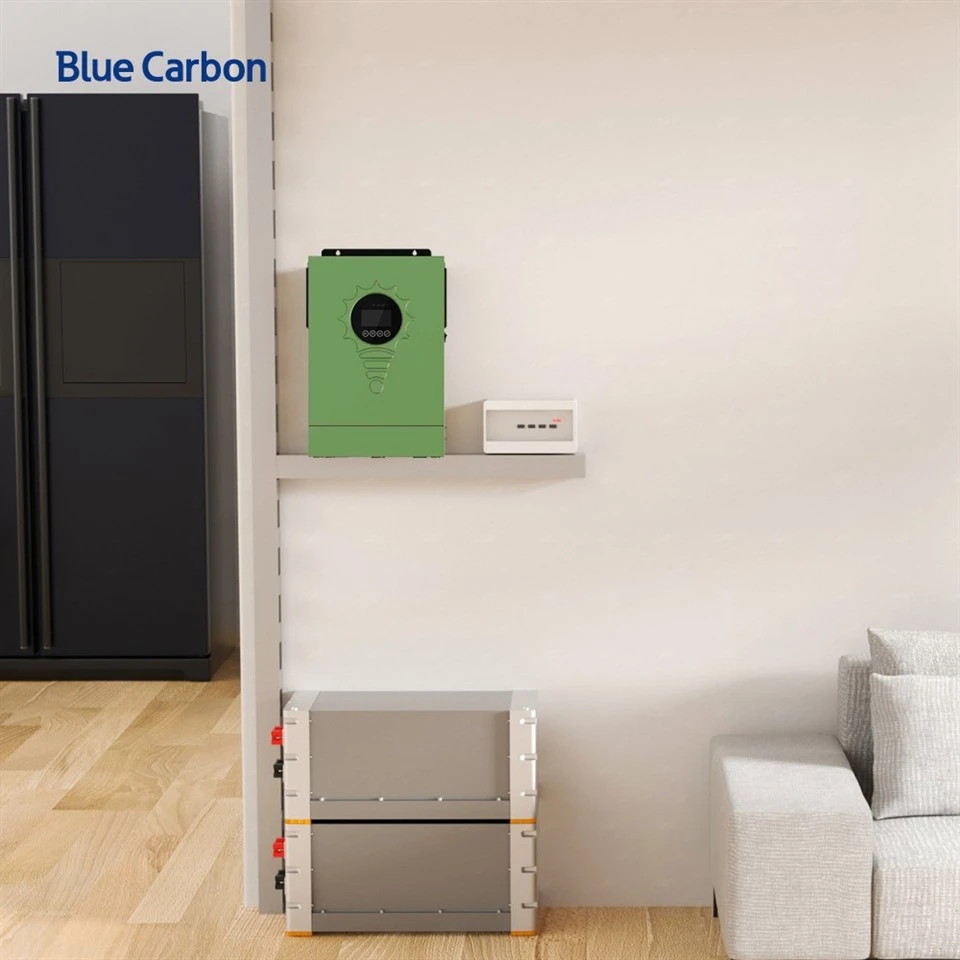 Blue Carbon 4kW Solar Inverter For Solar Energy System best
