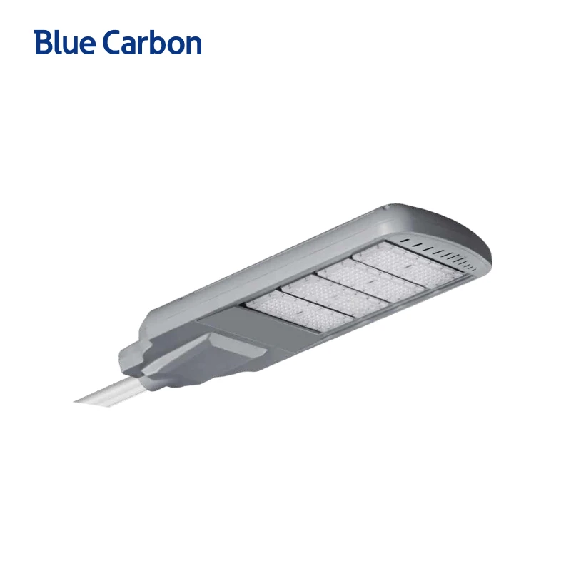 Blue Carbon High Quality 24V Municipal Solar Street Light Outdoor suppliers