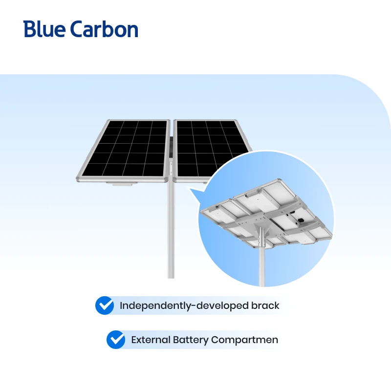 Blue Carbon High Quality 24V Municipal Solar Street Light Outdoor best