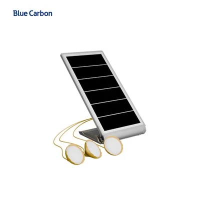 Blue Carbon bærbart mikro-energilagringssystem med LED-pærer til hjemmebelysning